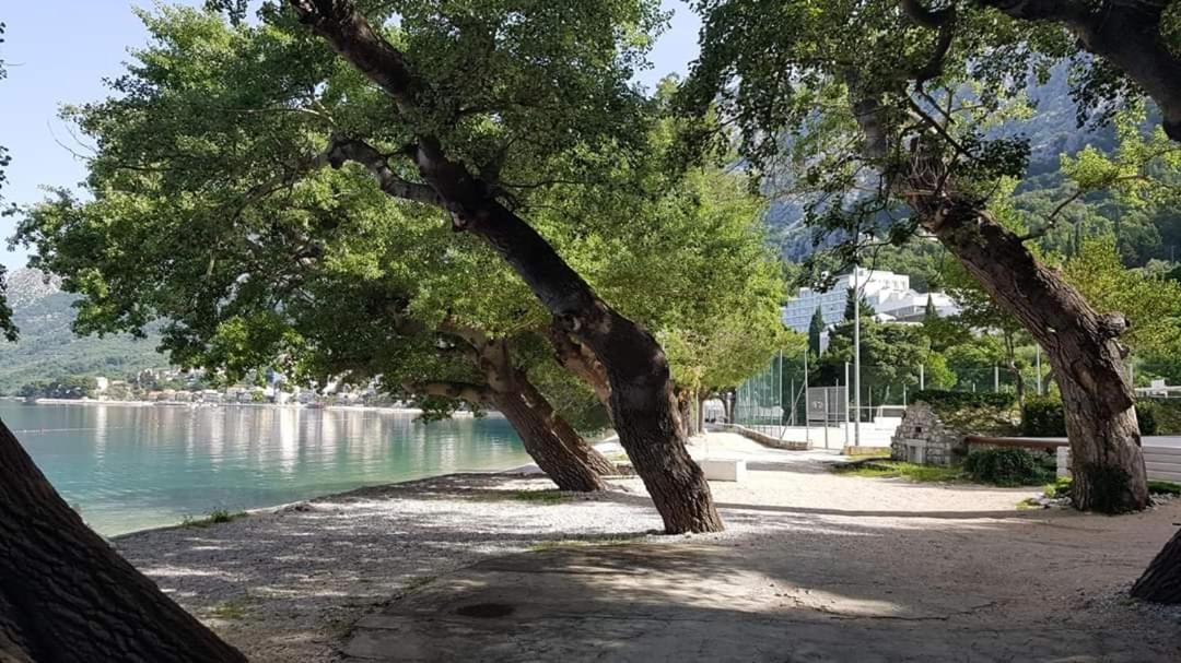 Apartmants Villa Lungo Mare Živogošće Екстериор снимка